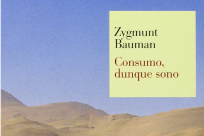 Consumo, Dunque Sono. Bauman E Le "Amicizie Liquide".