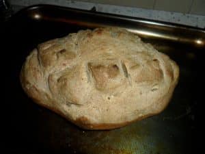 pane pasta madre